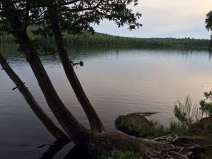 Campsite