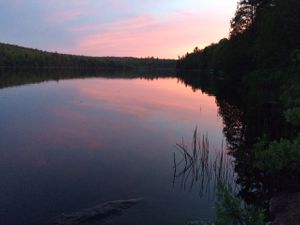 Campsite