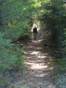 Burntside-Crab Portage