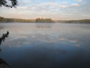 AM Fog