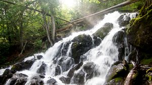 Eddy Falls