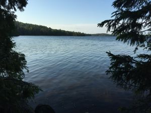 Campsite 845