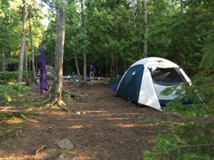 Campsite 845