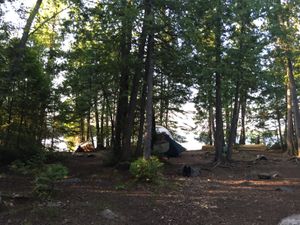 Campsite 845