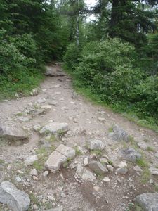 boundary_waters_6-12-12_116.JPG