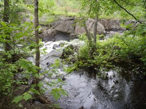 boundary_waters_6-12-12_117.JPG