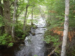 boundary_waters_6-12-12_118.JPG