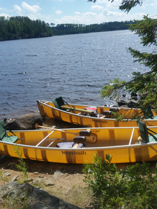 20160809_142849[1].jpg