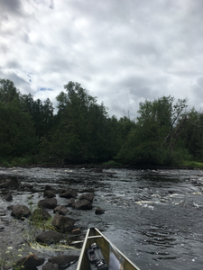 Portage