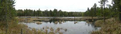 Beaver Pond on Lunetta-Hassel Portage