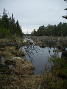 Beginning of Hassel Lake