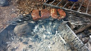 Venison steaks