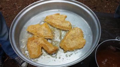 Panfish fillets