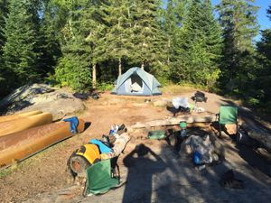 Polly Campsite