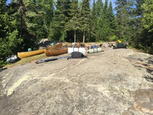 Polly Campsite