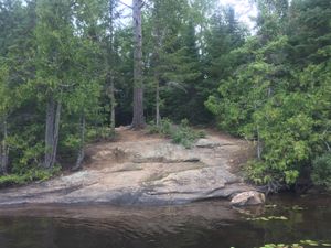 Horseshoe Campsite