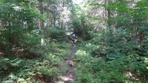 Portage: Longer L. to Big Trout L.