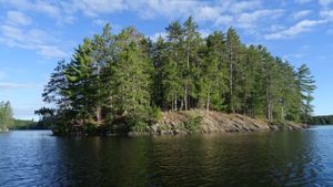 Big Trout L.: Campsite 910