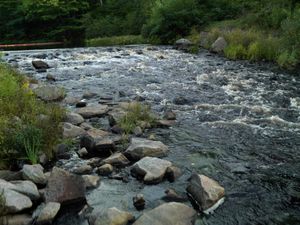 Below the dam