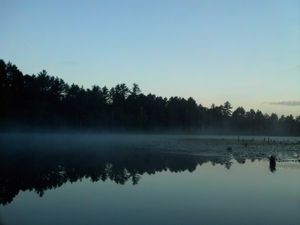 The Crappie Moors