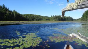 Trout Lake