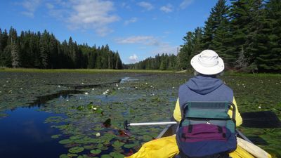 Trout Lake