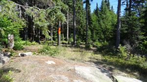 Trout Lake, Campsite 849