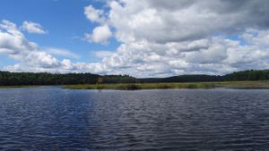 Trout Lake, Grassy Bay