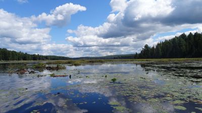 Trout Lake, Grassy Bay