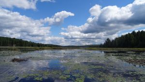 Trout Lake, Grassy Bay
