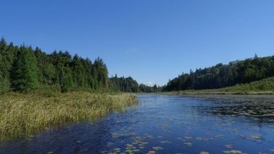 Timberwolf Lake, creek leading to Misty portage