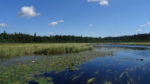Timberwolf Lake, creek leading to Misty portage