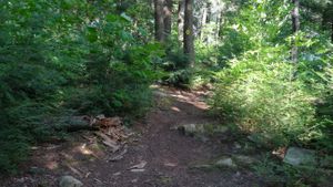 Misty Lake, Campsite 864, directional signing