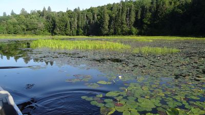 Petawawa River