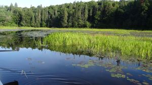 Petawawa River