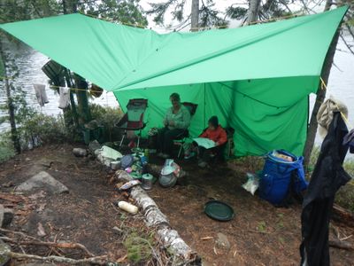 Hiding out under the tarp