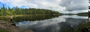 Shoreline