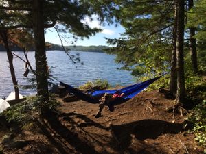 Site 36