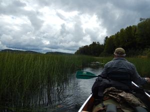 North Fowl entry