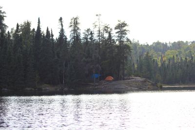 Lynx lake campsite