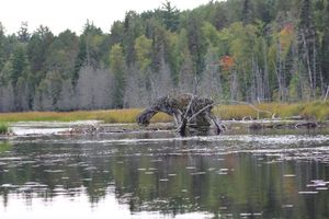 Pocket lake