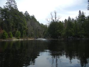 Korb River into Cummings Lake