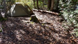Campsite 2212 Tent Spot