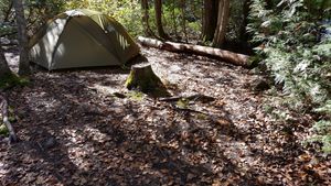 Campsite 2212 Tent Spot