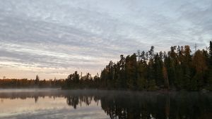 Mist in our Bay