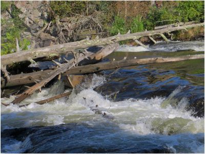 2013-09-03_363_Quetico Falls Chain-Kennebas Falls.JPG