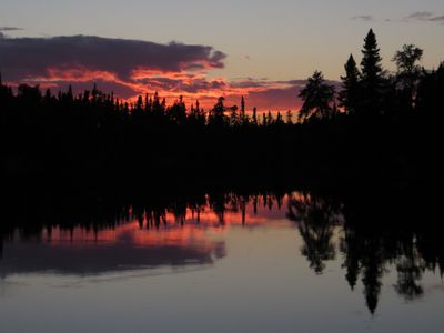 2012-08-19_039_Woodland Caribou Leano Lake.JPG