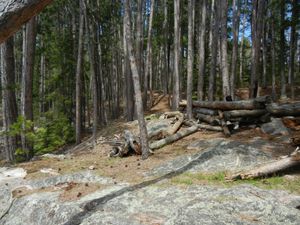 Campsite #301