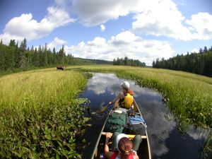 Algonquin Outfitters