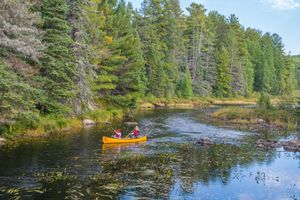 Algonquin Outfitters - Lake Opeongo